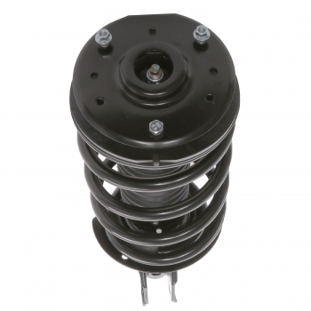Suspension Strut and Coil Spring Assembly