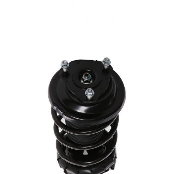 Suspension Strut and Coil Spring Assembly