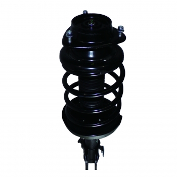 Suspension Strut and Coil Spring Assembly
