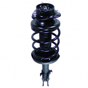 Suspension Strut and Coil Spring Assembly