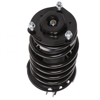Suspension Strut and Coil Spring Assembly