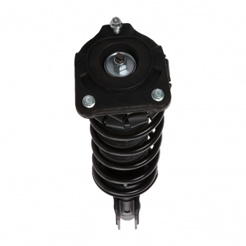 Suspension Strut and Coil Spring Assembly