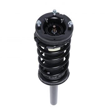 Suspension Strut and Coil Spring Assembly