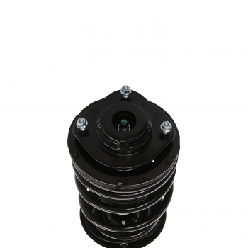 Suspension Strut and Coil Spring Assembly