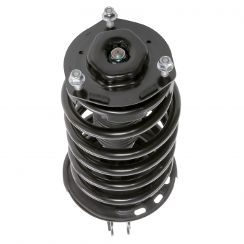 Suspension Strut and Coil Spring Assembly