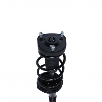 Suspension Strut and Coil Spring Assembly