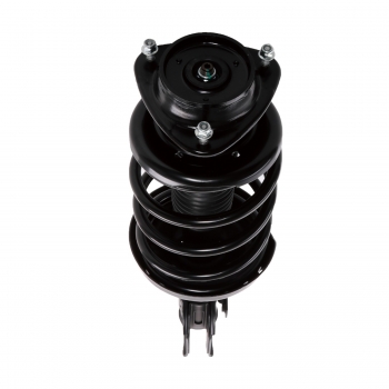 Suspension Strut and Coil Spring Assembly