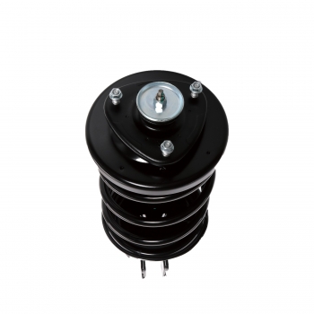 Suspension Strut and Coil Spring Assembly