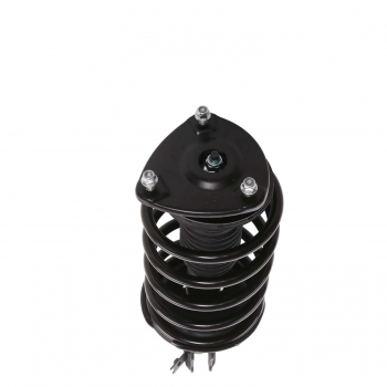Suspension Strut and Coil Spring Assembly