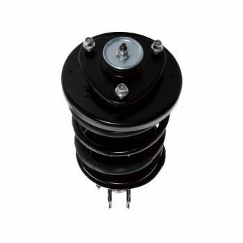 Suspension Strut and Coil Spring Assembly