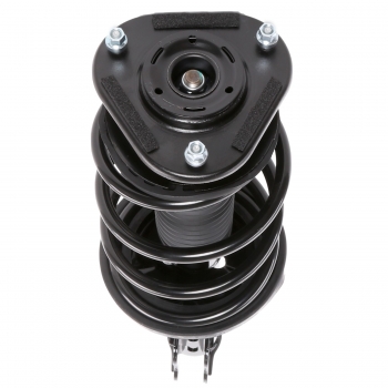 Suspension Strut and Coil Spring Assembly