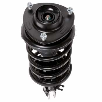 Suspension Strut and Coil Spring Assembly