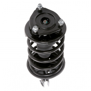 Suspension Strut and Coil Spring Assembly