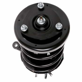 Suspension Strut and Coil Spring Assembly