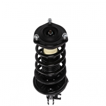 Suspension Strut and Coil Spring Assembly