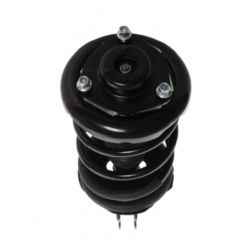 Suspension Strut and Coil Spring Assembly