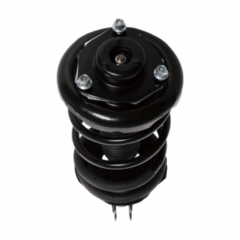 Suspension Strut and Coil Spring Assembly