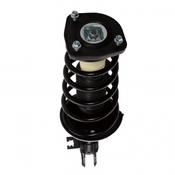 Suspension Strut and Coil Spring Assembly