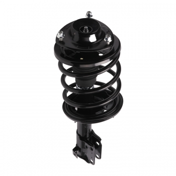 Suspension Strut and Coil Spring Assembly