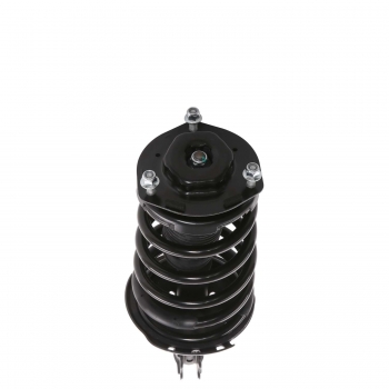 Suspension Strut and Coil Spring Assembly