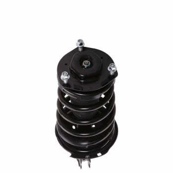 Suspension Strut and Coil Spring Assembly