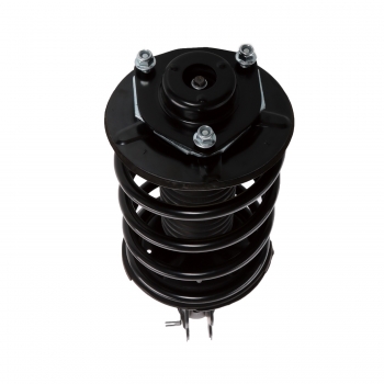 Suspension Strut and Coil Spring Assembly
