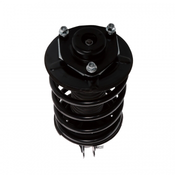 Suspension Strut and Coil Spring Assembly