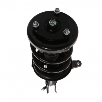 Suspension Strut and Coil Spring Assembly