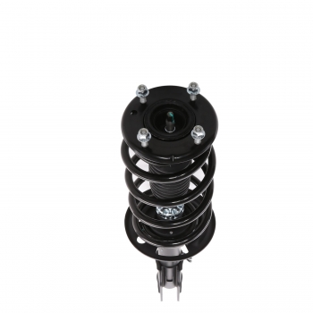 Suspension Strut and Coil Spring Assembly