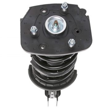 Suspension Strut and Coil Spring Assembly