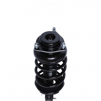 Suspension Strut and Coil Spring Assembly