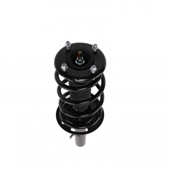 Suspension Strut and Coil Spring Assembly