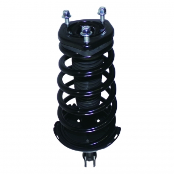 Suspension Strut and Coil Spring Assembly