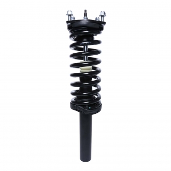 Suspension Strut and Coil Spring Assembly