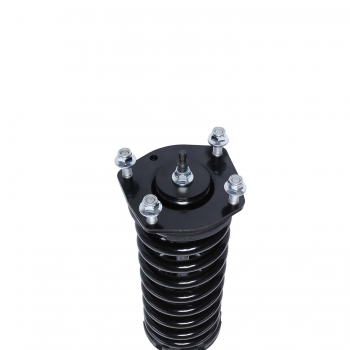Suspension Strut and Coil Spring Assembly