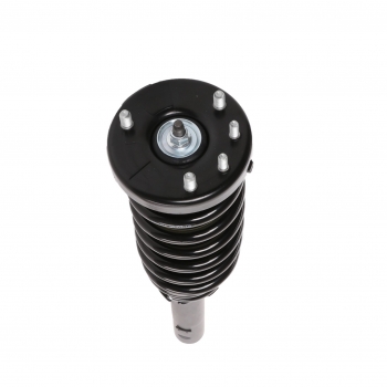 Suspension Strut and Coil Spring Assembly