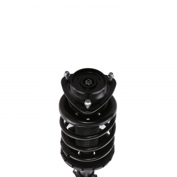 Suspension Strut and Coil Spring Assembly