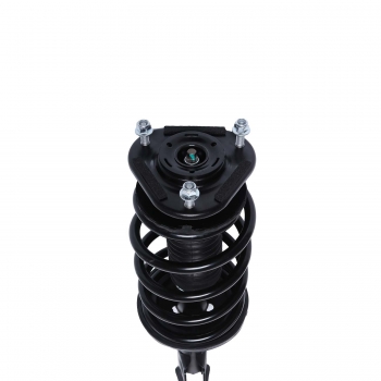 Suspension Strut and Coil Spring Assembly