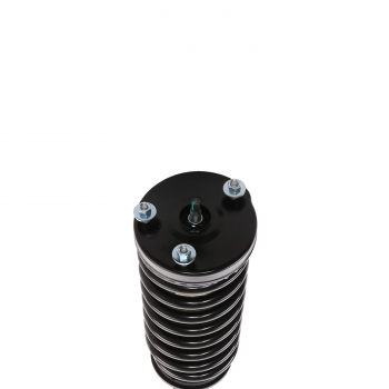 Suspension Strut and Coil Spring Assembly
