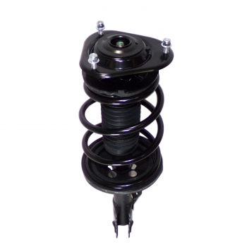 Suspension Strut and Coil Spring Assembly