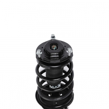 Suspension Strut and Coil Spring Assembly