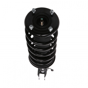 Suspension Strut and Coil Spring Assembly