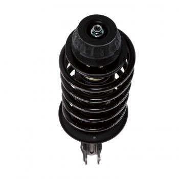 Suspension Strut and Coil Spring Assembly
