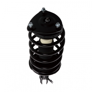 Suspension Strut and Coil Spring Assembly