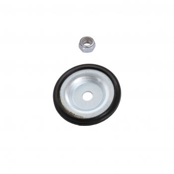 Suspension Strut and Coil Spring Assembly