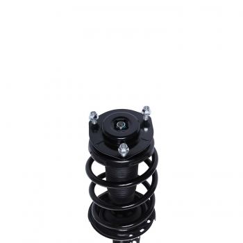 Suspension Strut and Coil Spring Assembly