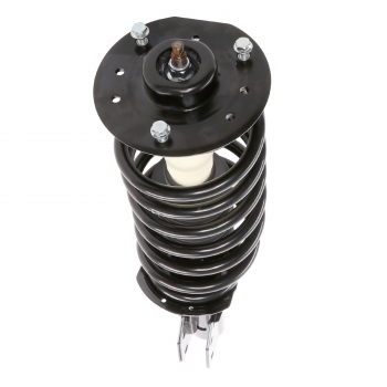 Suspension Strut and Coil Spring Assembly