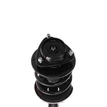 Suspension Strut and Coil Spring Assembly