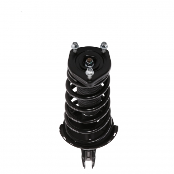 Suspension Strut and Coil Spring Assembly