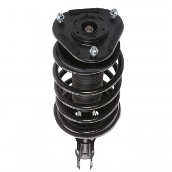 Suspension Strut and Coil Spring Assembly